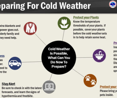 Graphic for Preparing for Cold Weather